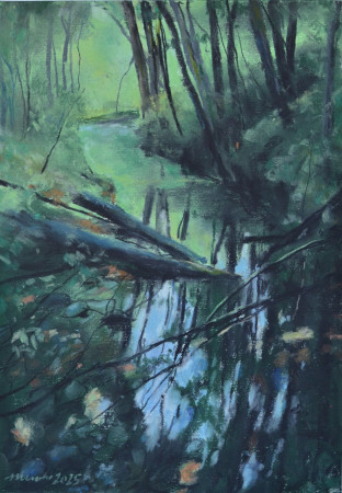 Deštivý den na řece